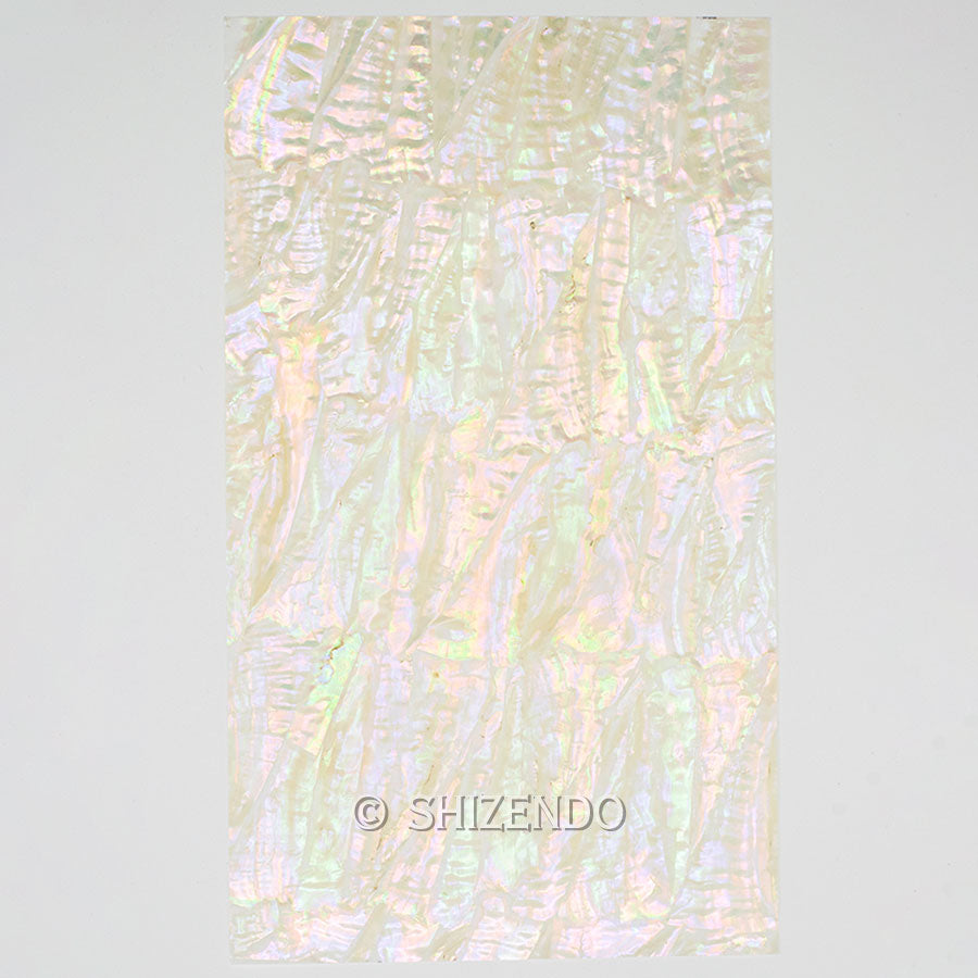 アワビ貝板シートB