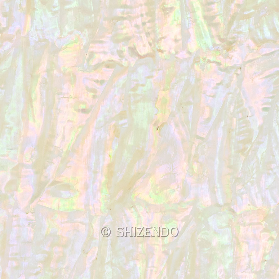 アワビ貝板シートB