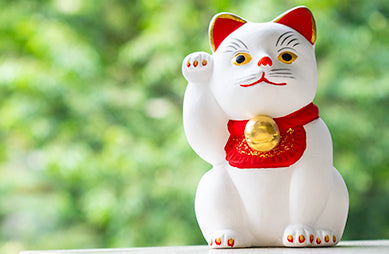 【手ほどきビデオ】ことキット　～御所人形　招き猫～